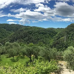 Caddelovi , Fibbialla Italie